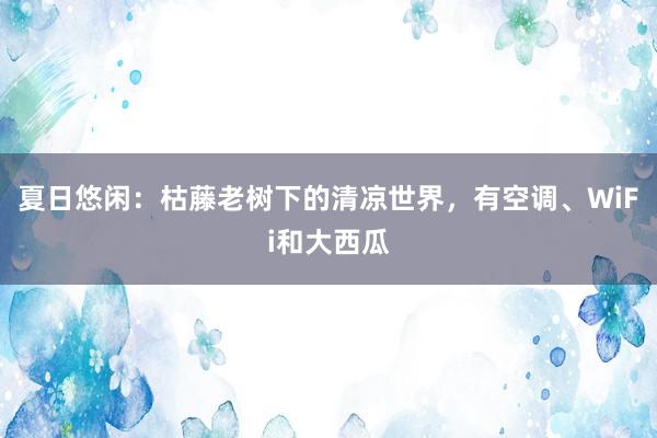 夏日悠闲：枯藤老树下的清凉世界，有空调、WiFi和大西瓜